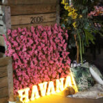 Blanco Danse Facebook 2025 (33)